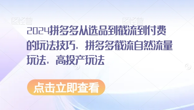 2024拼多多从选品到截流到付费的玩法技巧，拼多多截流自然流量玩法，高投产玩法-失落博客