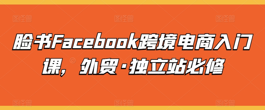 脸书Facebook跨境电商入门课，外贸·独立站必修-失落博客