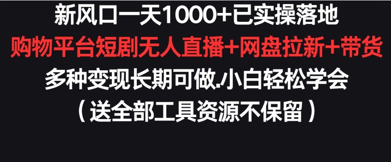 新风口一天1000+已实操落地购物平台短剧无人直播+网盘拉新+带货多种变现长期可做-失落博客
