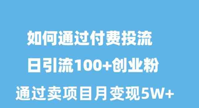 （10189期）如何通过付费投流日引流100+创业粉月变现5W+-失落博客