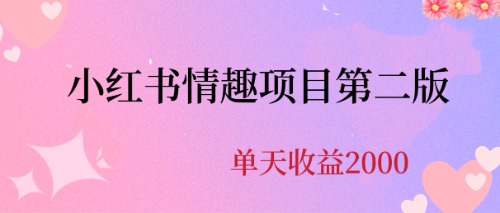 最近爆火小红书情趣项目第二版，每天2000+-失落博客
