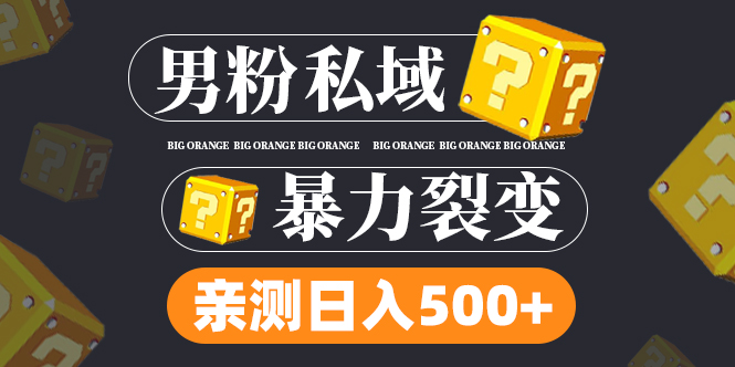 男粉项目，一个作品变现1000+，新渠道新玩法，一部手机实现月入过万-失落博客