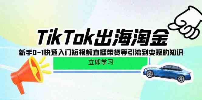 TikTok出海淘金，新手0-1快速入门短视频直播带货等引流到变现的知识-失落博客