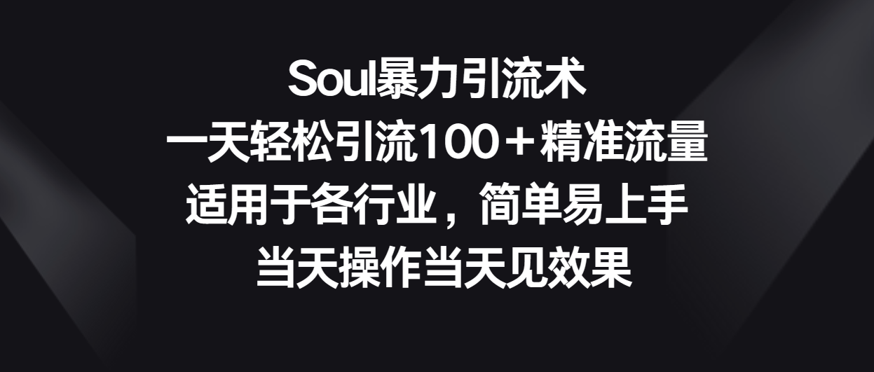 Soul暴力引流术，一天轻松引流100＋精准流量，适用于各行业，简单易上手！-失落博客