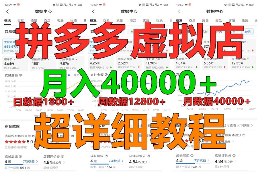 拼多多虚拟电商训练营月入40000+，全网最详细，你做你也行，暴利稳定长久-失落博客
