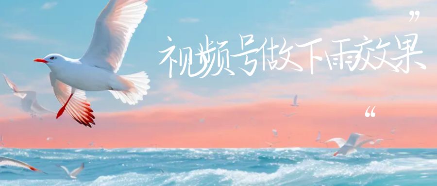视频号做下雨视频一个账号一周涨粉10W+年入100w-失落博客
