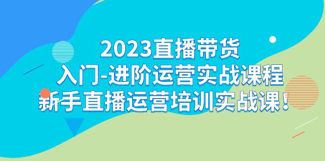 2023直播带货入门-进阶运营实战课程：新手直播运营培训实战课！-失落博客