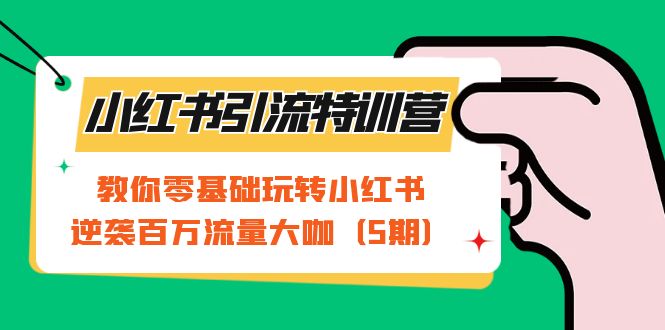 小红书引流特训营-第5期：教你零基础玩转小红书，逆袭百万流量大咖-失落博客