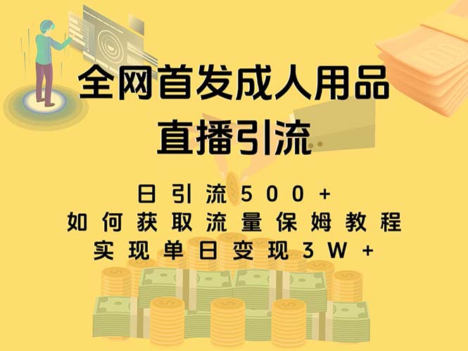 最新全网独创首发，成人用品直播引流获客暴力玩法，单日变现3w保姆级教程-失落博客