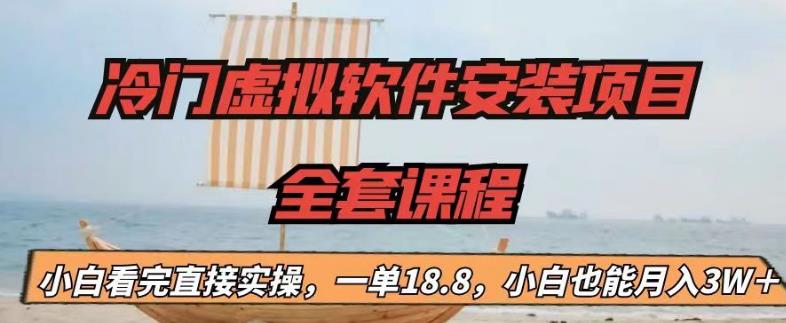 冷门虚拟软件安装项目，一单18.8，小白也能月入3W＋-失落博客