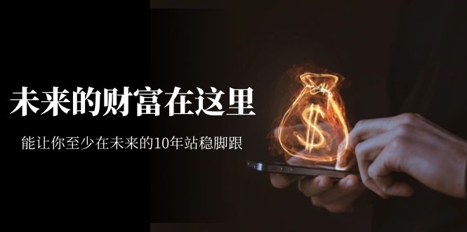某收费文章《未来的财富在这里》能让你至少在未来的10年站稳脚跟-失落博客