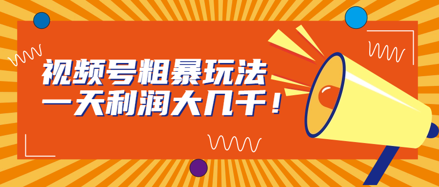 视频号粗暴玩法，一天利润大几千！-失落博客