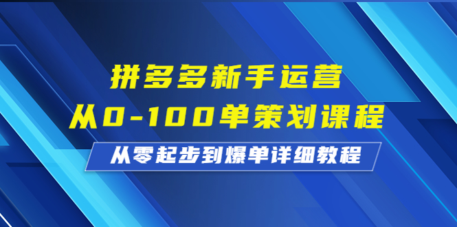 拼多多新手运营从0-100单策划课程，从零起步到爆单详细教程-失落博客