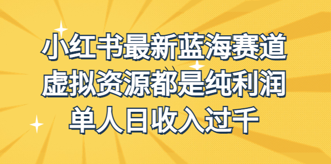 外面收费1980的小红书最新蓝海赛道，虚拟资源都是纯利润，单人日收入过千-失落博客