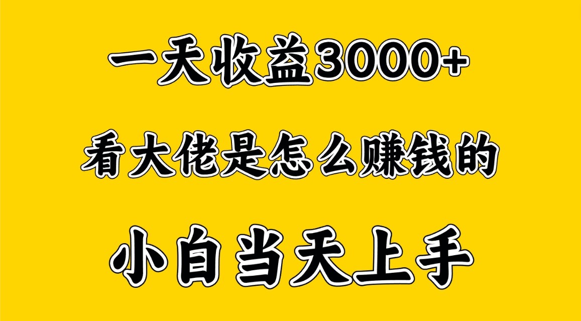 一天赚3000多，大佬是这样赚到钱的，小白当天上手，穷人翻身项目-失落博客
