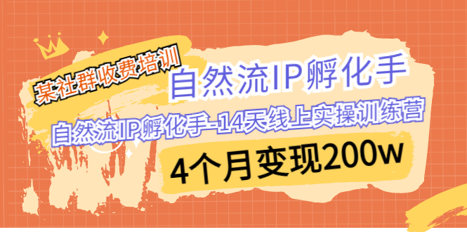 某社群收费培训：自然流IP 孵化手-14天线上实操训练营 4个月变现200w-失落博客