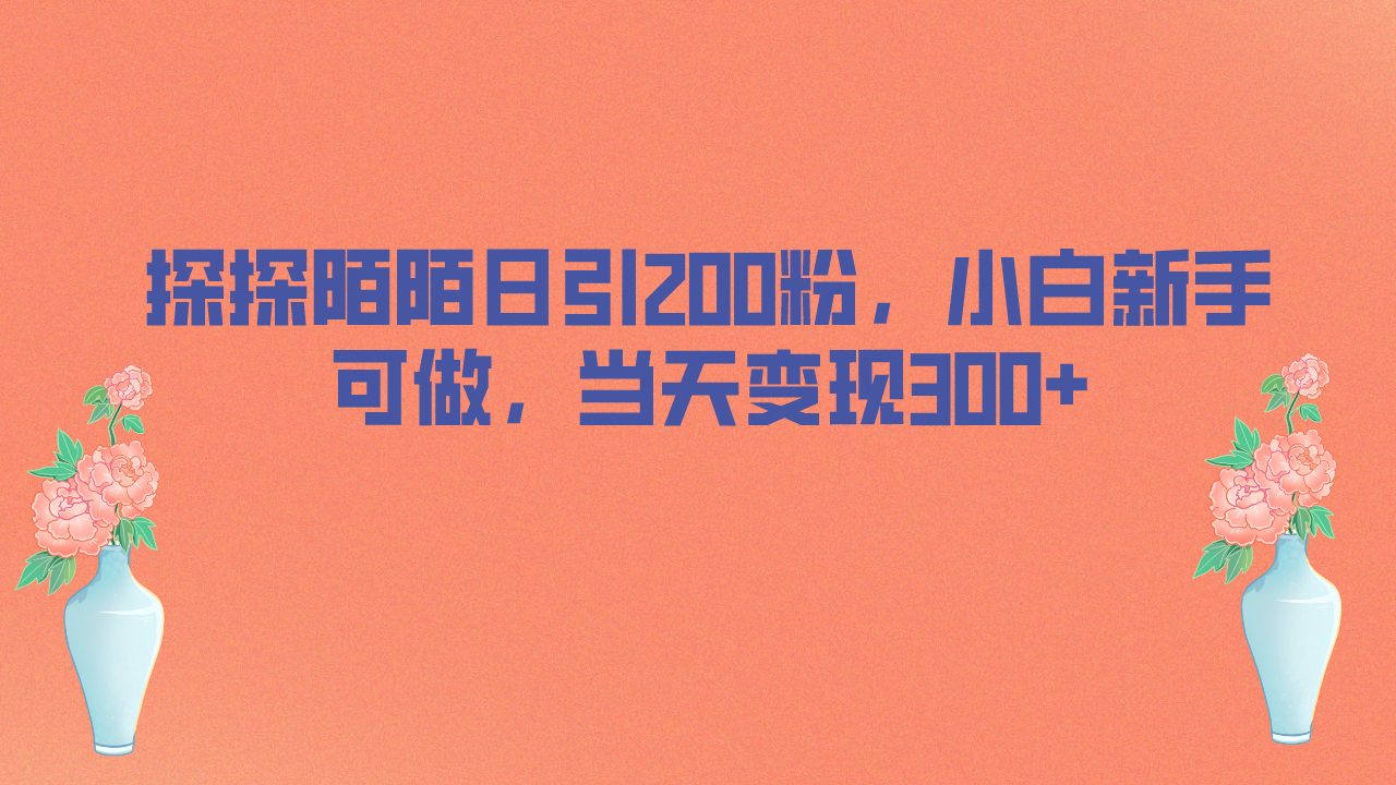 探探陌陌日引200粉，小白新手可做，当天就能变现300+-失落博客
