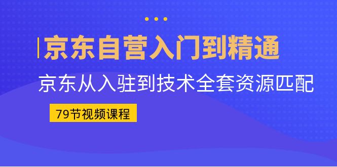 京东自营入门到精通：京东从入驻到技术全套资源匹配（79节课）-失落博客