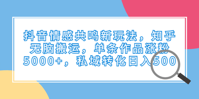 抖音情感共鸣新玩法，知乎无脑搬运，单条作品涨粉5000+，私域转化日入500-失落博客