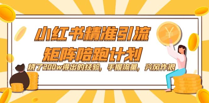 小红书精准引流·矩阵陪跑计划：烧了200w得出的经验，手握流量，兴风作浪！-失落博客