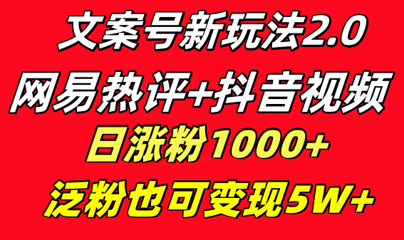 文案号新玩法 网易热评+抖音文案 一天涨粉1000+ 多种变现模式 泛粉也可变现-失落博客