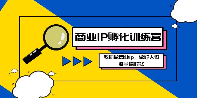 商业IP-孵化训练营新版，教你做商业Ip，做好人设，流量搞好钱-失落博客