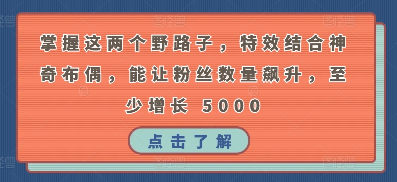 掌握这两个野路子，特效结合神奇布偶，能让粉丝数量飙升，至少增长 5000-失落博客