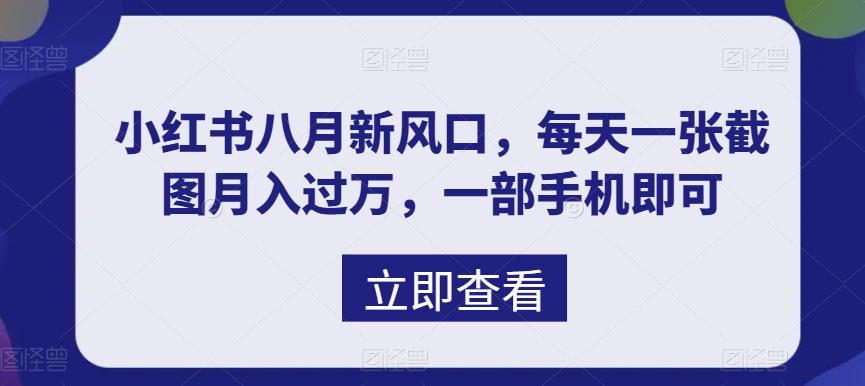 八月新风口，小红书虚拟项目一天收入1000+，实战揭秘-失落博客