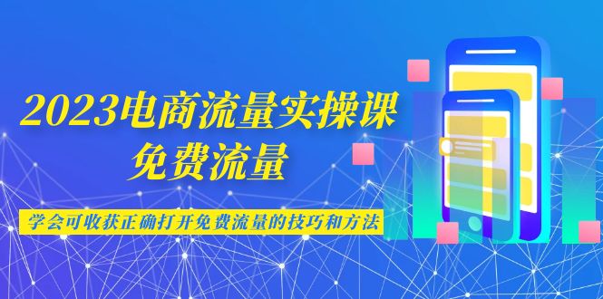 2023电商流量实操课-免费流量，学会可收获正确打开免费流量的技巧和方法-失落博客