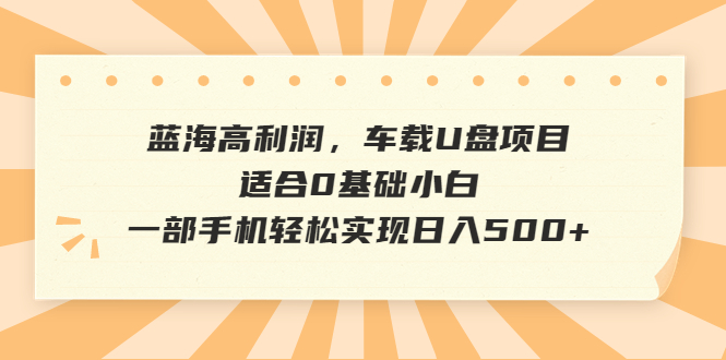 蓝海高利润，车载U盘项目，适合0基础小白，一部手机轻松实现日入500+-失落博客