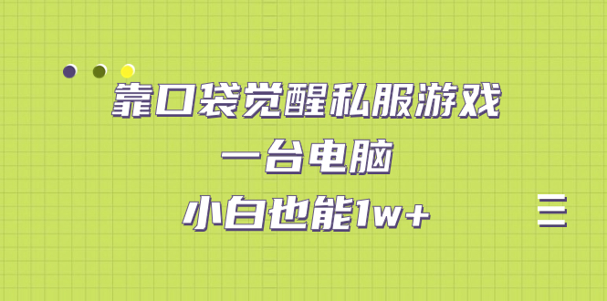 靠口袋觉醒私服游戏，一台电脑，小白也能1w+（教程+工具+资料）-失落博客