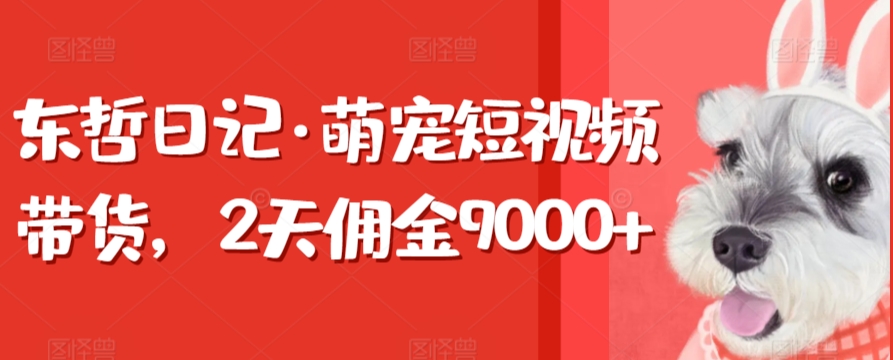 东哲日记·萌宠短视频带货，2天佣金9000+-失落博客