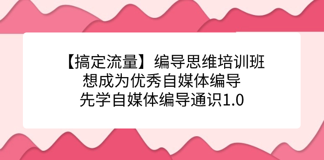 【搞定流量】编导思维培训班，想成为优秀自媒体编导先学自媒体编导通识1.0-失落博客