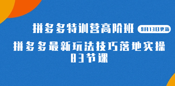 2023拼多多·特训营高阶班【9月19日更新】拼多多最新玩法技巧落地实操-83节-失落博客