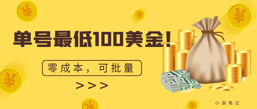 单号最低100美金，零成本，小白无脑操作。可复制，可扩大。-失落博客