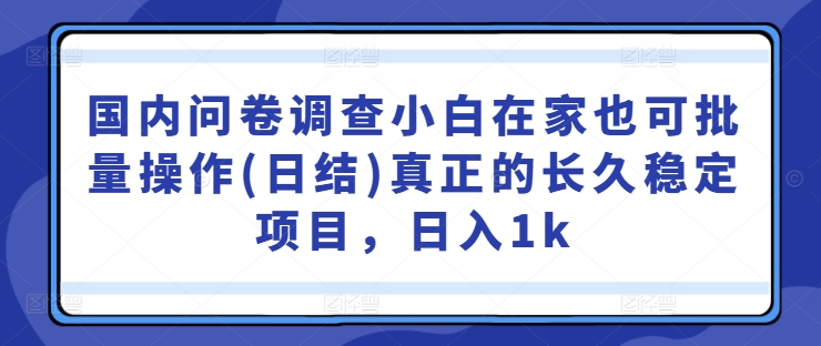 国内问卷调查小白在家也可批量操作(日结)真正的长久稳定项目，日入1k【揭秘】-失落博客