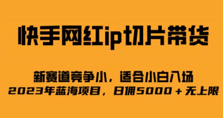 快手网红ip切片新赛道，竞争小事，适合小白 2023蓝海项目-失落博客