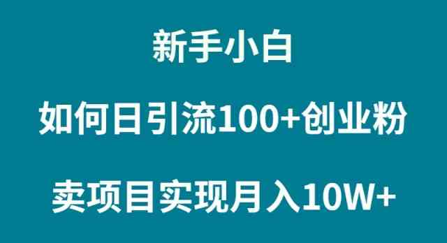 （9556期）新手小白如何通过卖项目实现月入10W+-失落博客