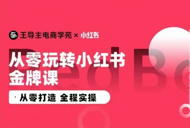 王导主·小红书电商运营实操课，​从零打造  全程实操-失落博客