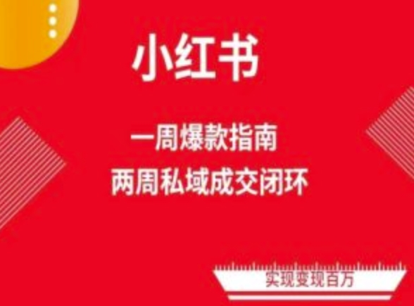 爆款小红书免费流量体系课程(两周变现)，小红书电商教程-失落博客