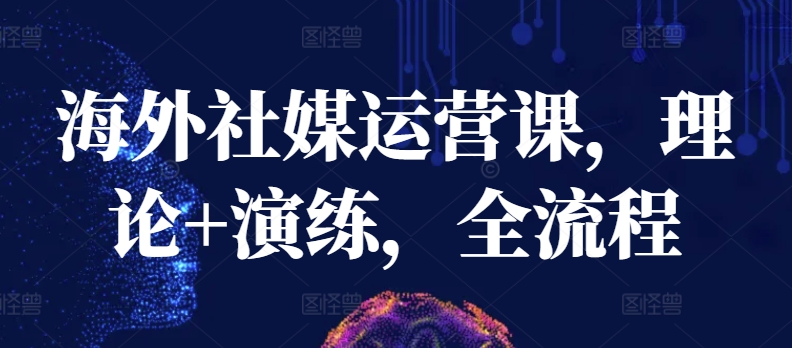 海外社媒运营课，理论+演练，全流程-失落博客