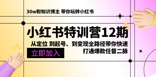 （10666期）小红书特训营12期：从定位 到起号、到变现全路径带你快速打通爆款任督二脉-失落博客