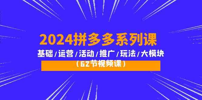 （10019期）2024拼多多系列课：基础/运营/活动/推广/玩法/大模块（62节视频课）-失落博客