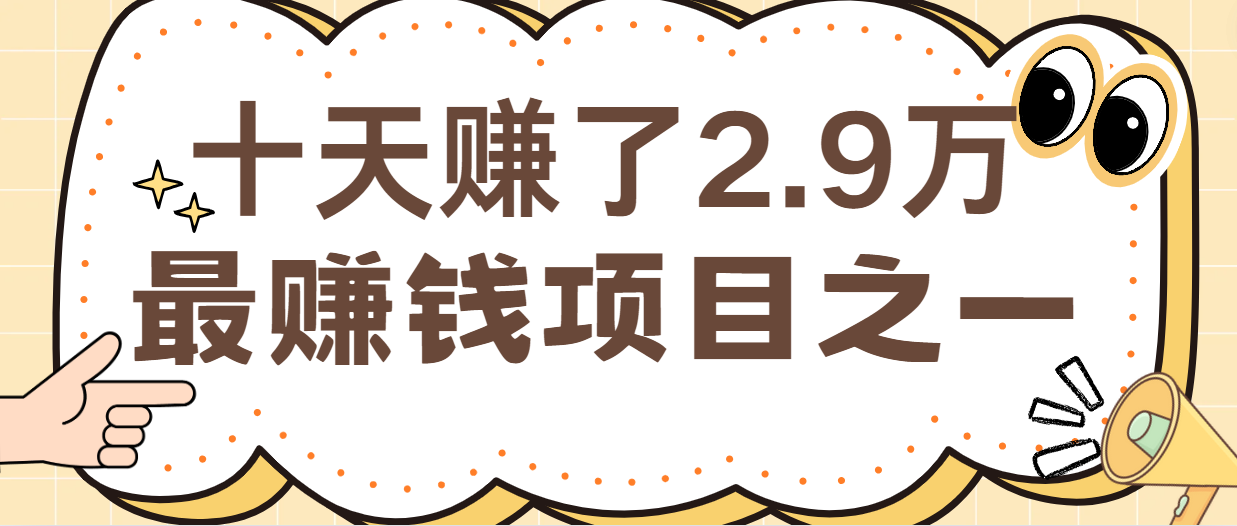 闲鱼小红书最赚钱项目之一，轻松月入6万+-失落博客