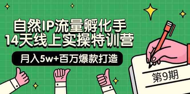 （9881期）自然IP流量孵化手 14天线上实操特训营【第9期】月入5w+百万爆款打造 (74节)-失落博客