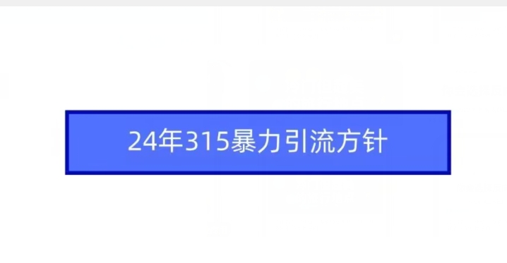 24年315暴力引流方针-失落博客