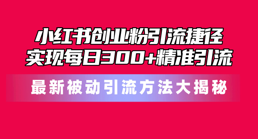 （10692期）小红书创业粉引流捷径！最新被动引流方法大揭秘，实现每日300+精准引流-失落博客