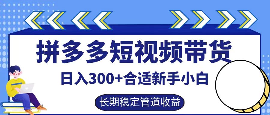 拼多多短视频带货日入300+，实操账户展示看就能学会-失落博客