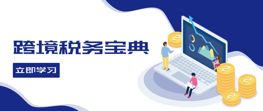 （12544期）跨境税务宝典教程：跨境电商全球税务处理策略-失落博客