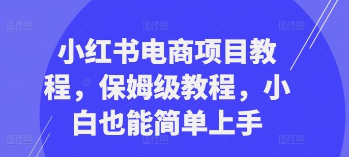 小红书电商项目教程，保姆级教程，小白也能简单上手-失落博客